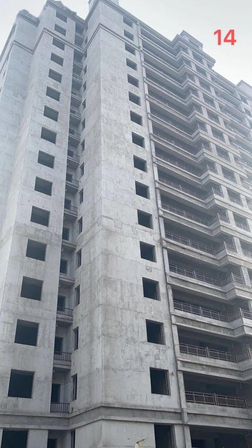 睢寧金泰工程進(jìn)度 精雕細(xì)琢, 家 速趕來(lái).....